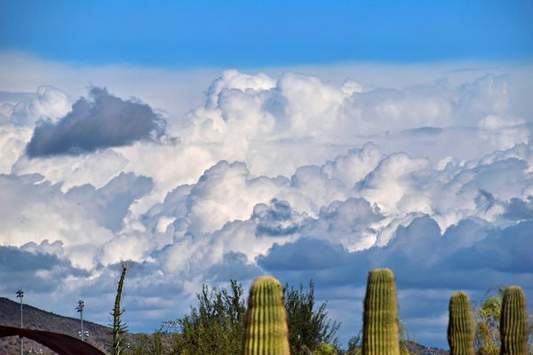 Singles in Chandler: view of the city