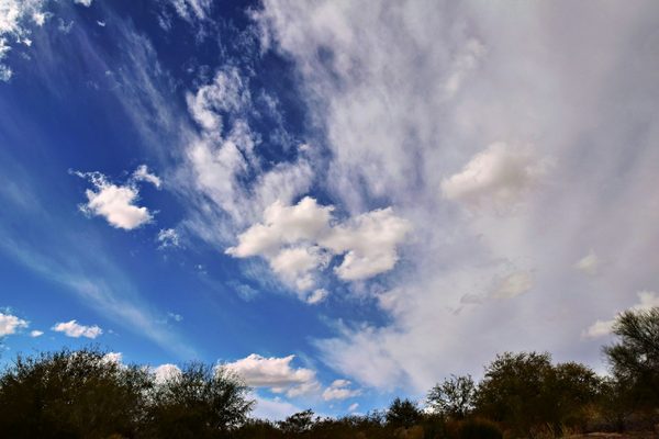 Singles in Chandler: view of the city