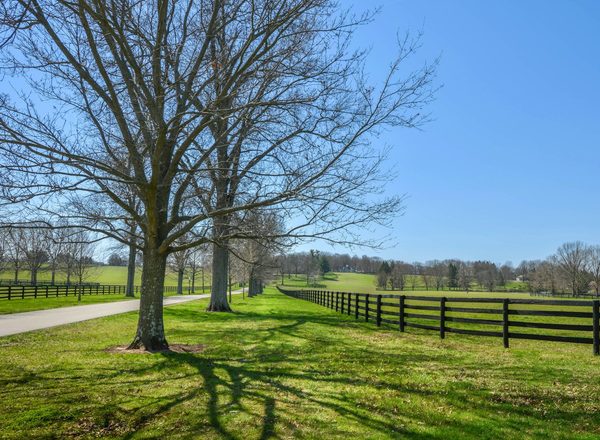 Singles in Lexington: view of the city