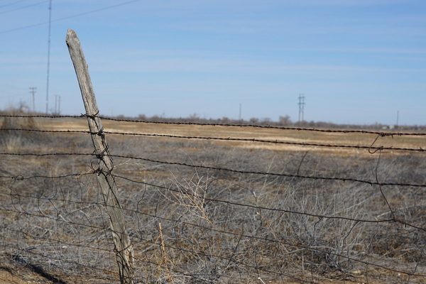 Singles in Lubbock: view of the city