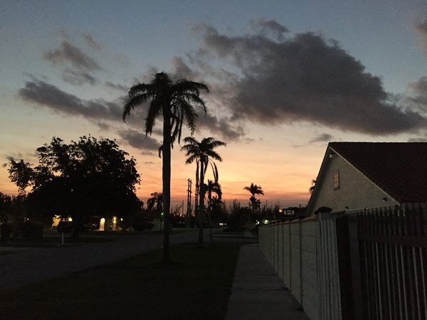 Singles in Tamiami: view of the city