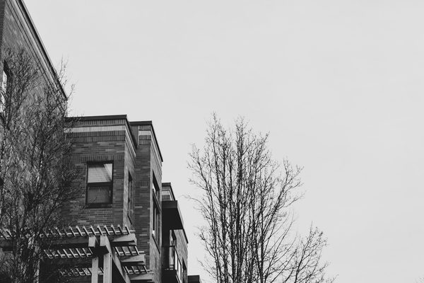 Singles in Vancouver: view of the city