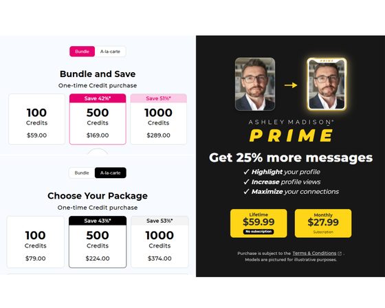 Screenshot of the Ashley Madison prices