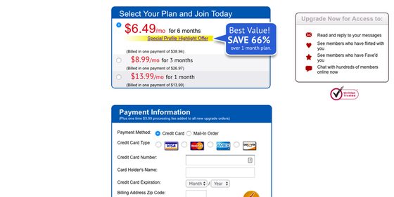 Screenshot of the IndiaMatch prices