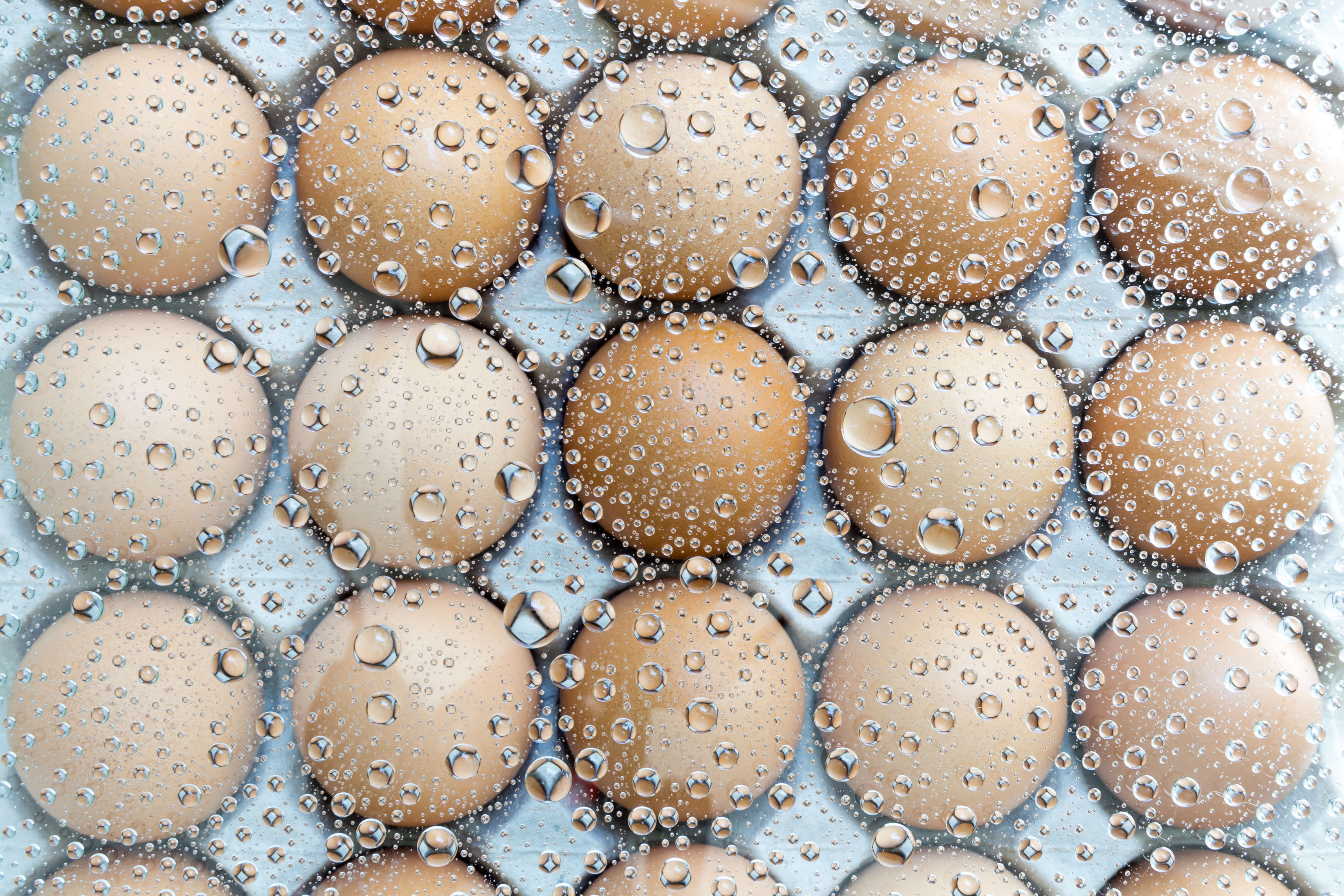 Egg Freezing is Preserving Fertility for Singles Not Ready for Children