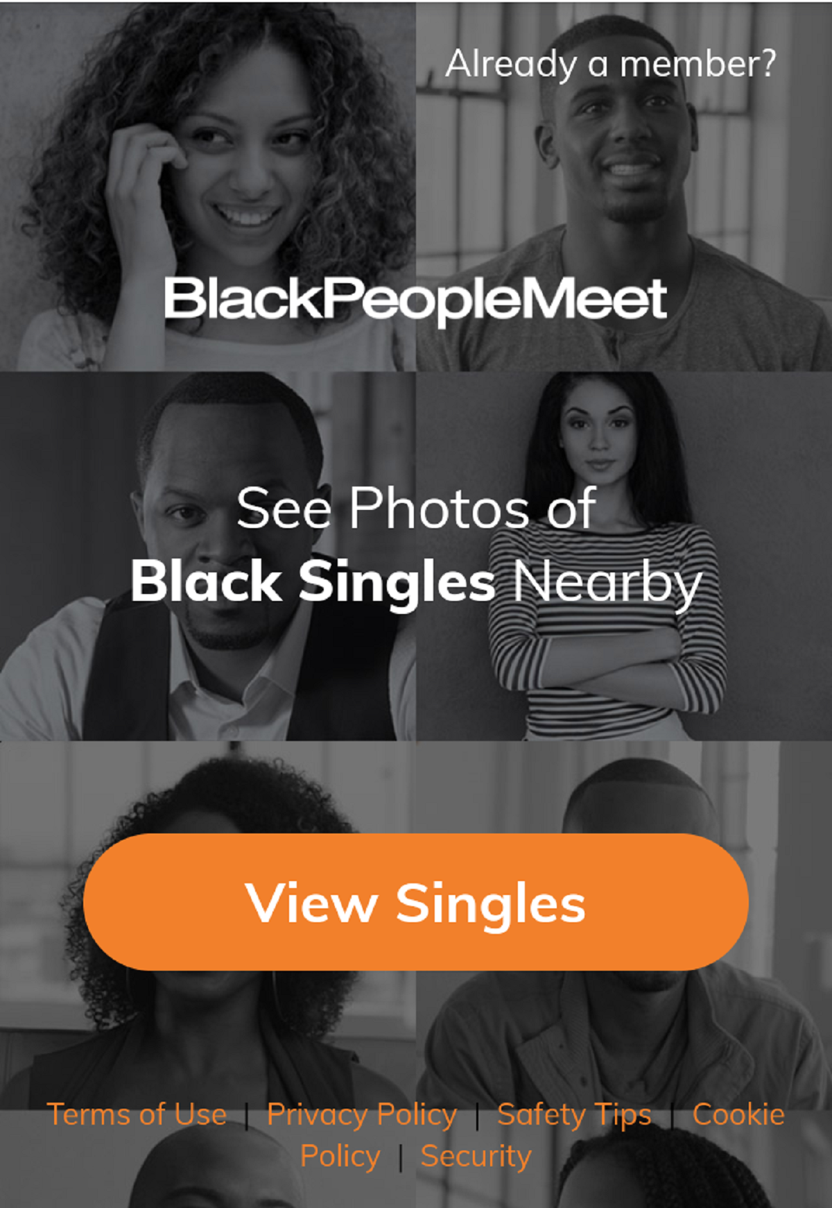 BlackPeopleMeet.com Reviews