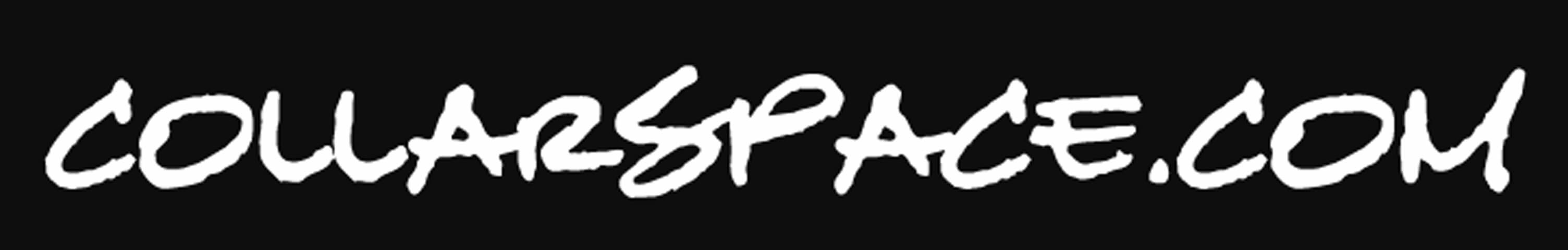 Collarspace Review July 2026 - Legit dates or full of fraud? - DatingScout
