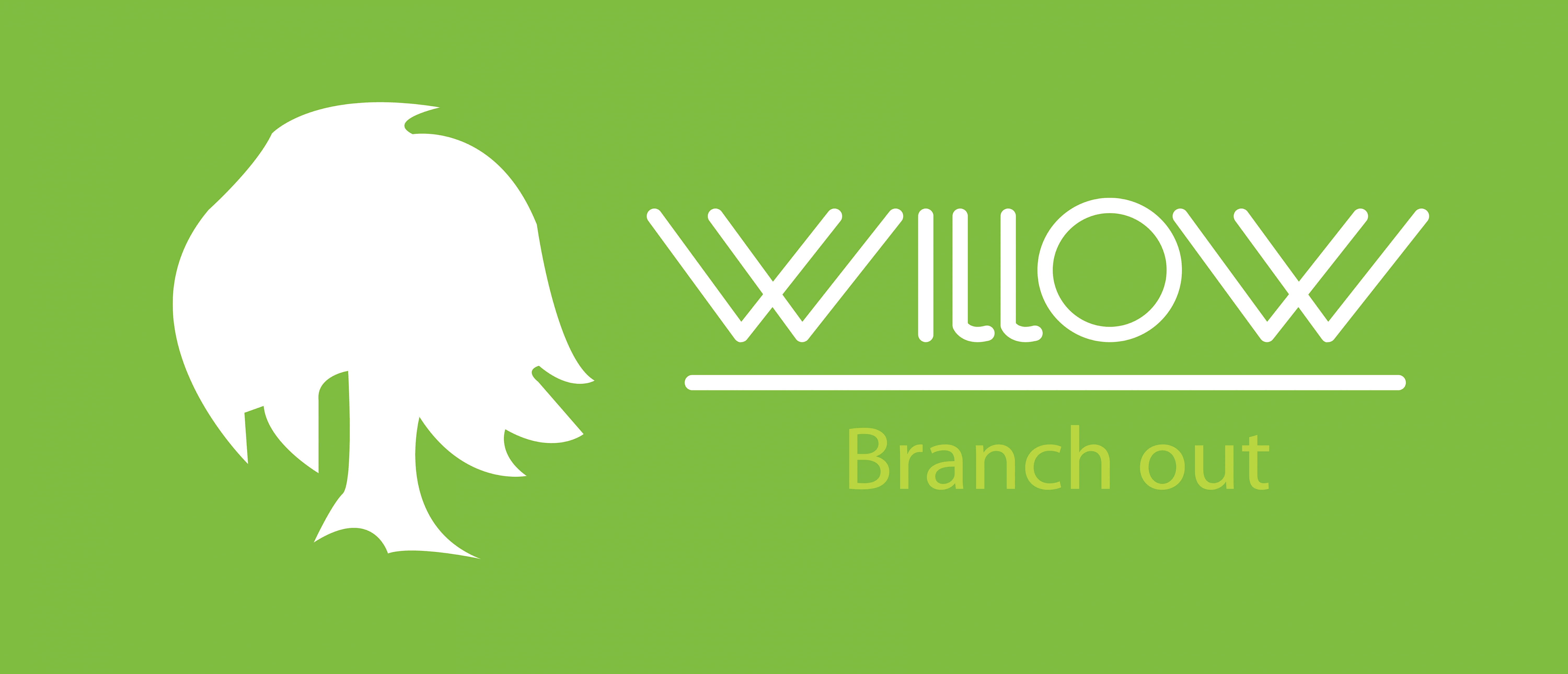 willow online dating