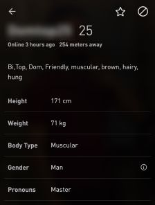 Grindr Profile