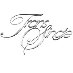 TransSingle Logo