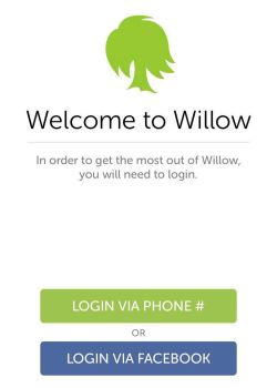 Willow