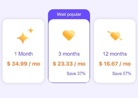 Dil Mil Updated Pricing