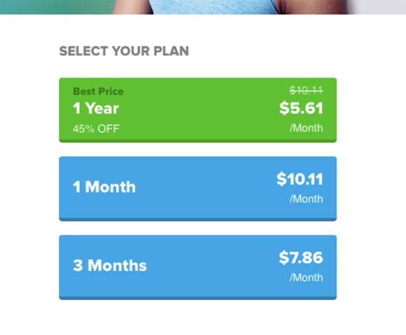 PlanetRomeo cost