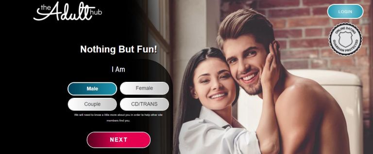 The Adult Hub Review
