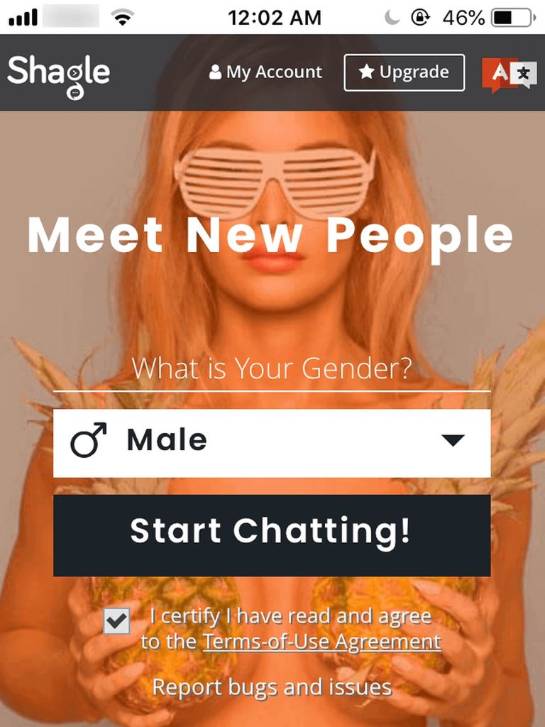 Shagle Review August 2024 Hot Chats or Not? DatingScout