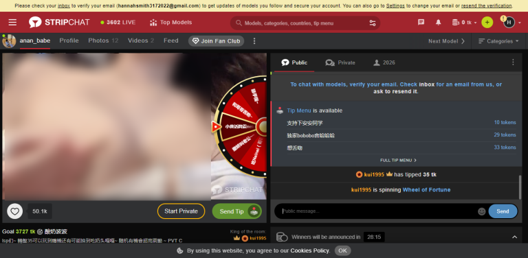 Strip chat web store