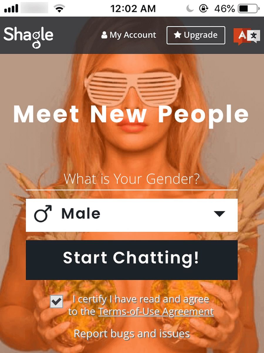 Shagle Review August 2024 Hot Chats or Not? DatingScout